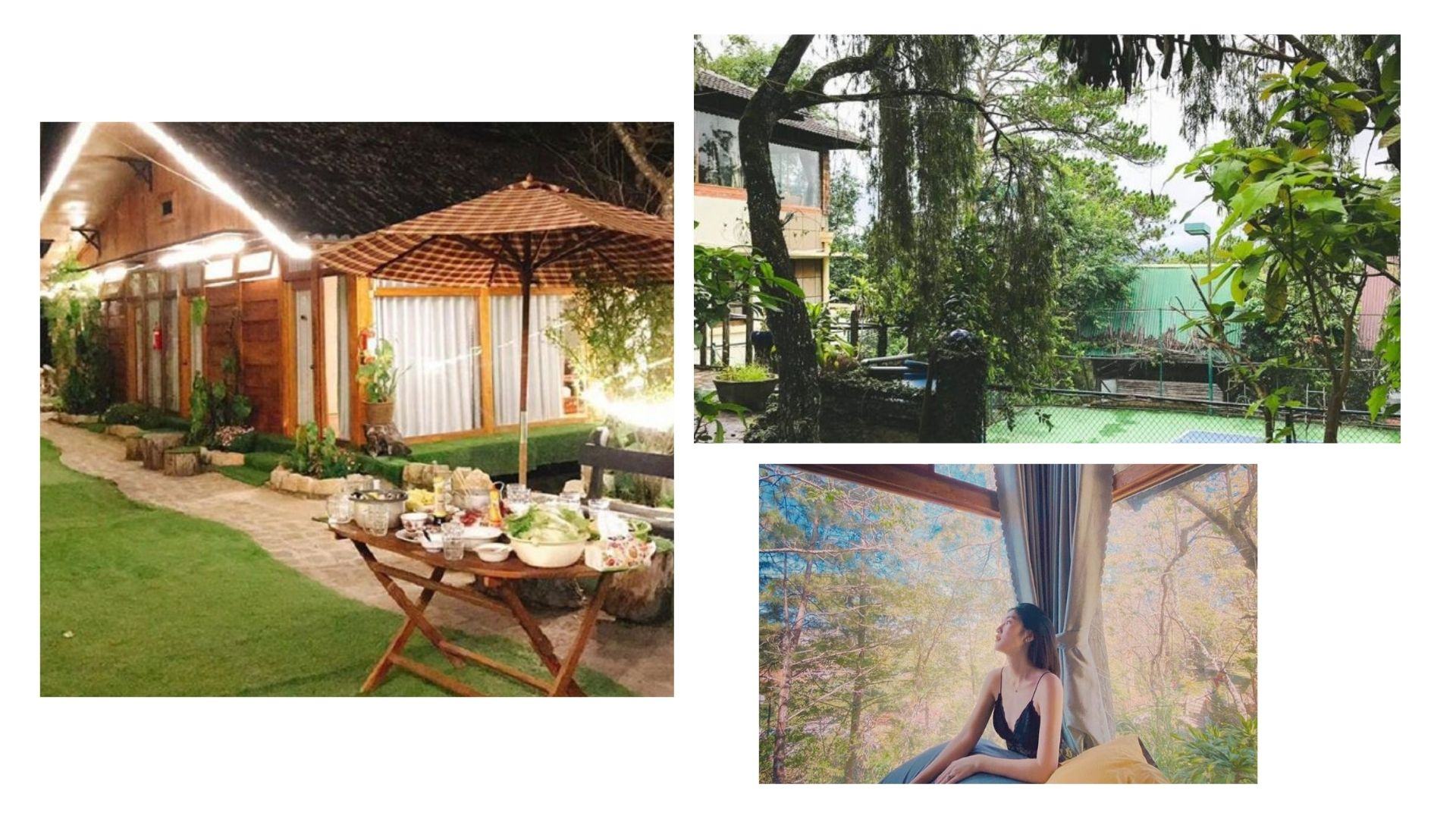 Nomini homestay Ngôi nhà gỗ giữa rừng thông Đà Lạt có gì hot