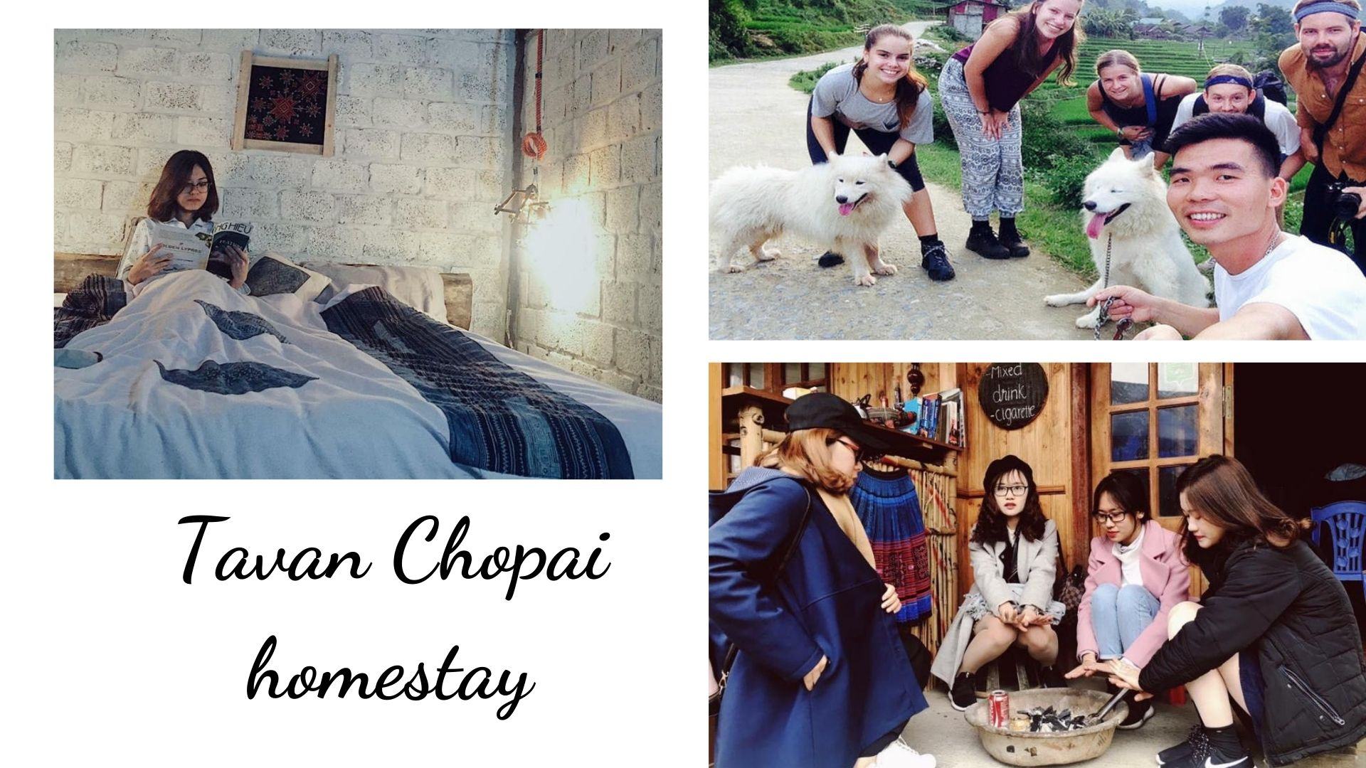 Review Tavan Chopai Homestay: giá rẻ, địa điểm săn mây cực đỉnh tại Sapa