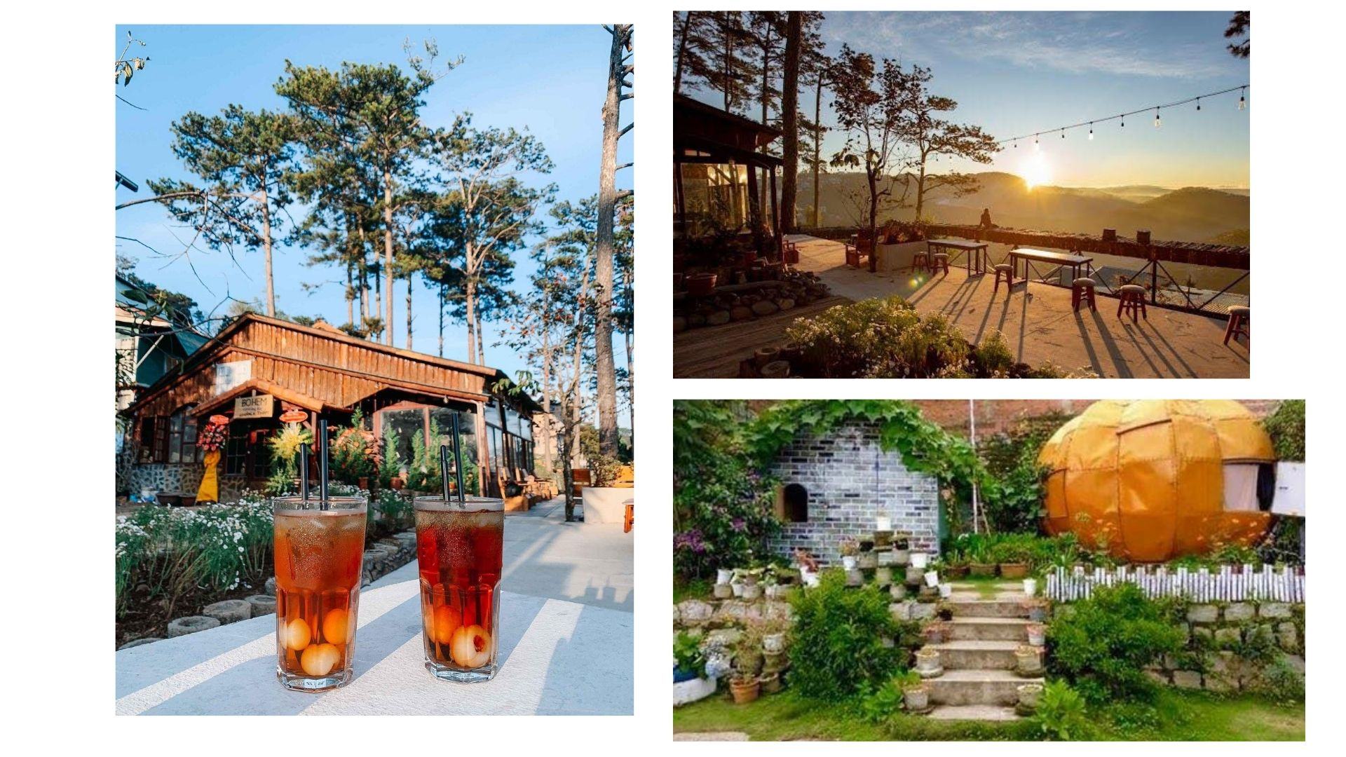 Review Tổ Chim homestay Đà Lạt giá rẻ, view cực "chill", đẹp lung linh