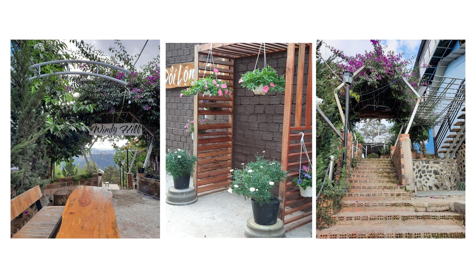 Windy Hill Coffee & Homestay Đà Lạt nơi dừng chân đẹp đến nao lòng