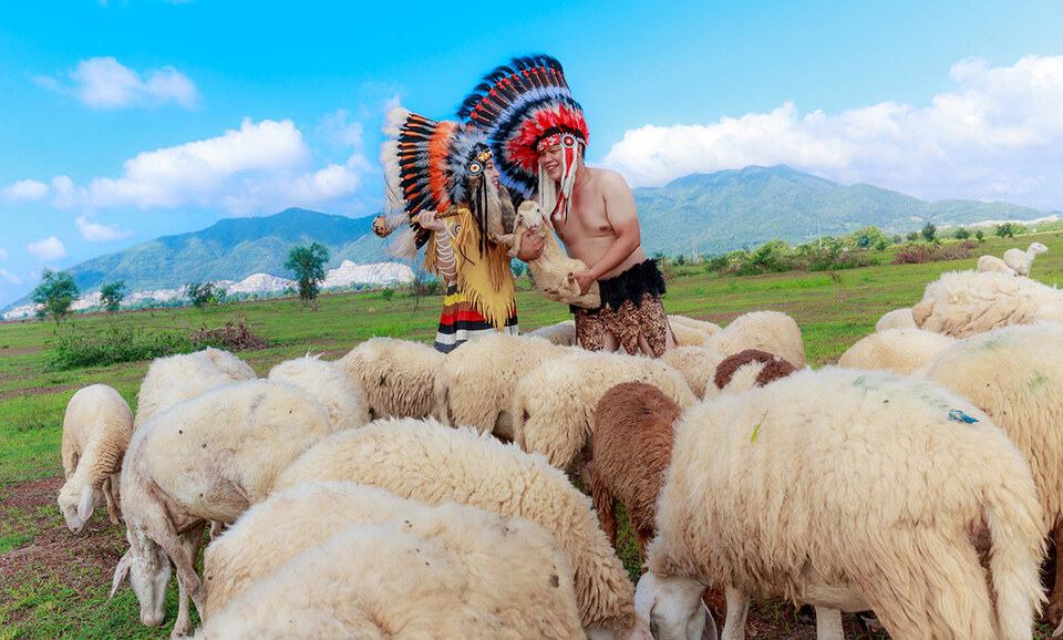Đồi Cừu Vũng Tàu: Hướng dẫn đường đi, giá vé & kinh nghiệm tham quan