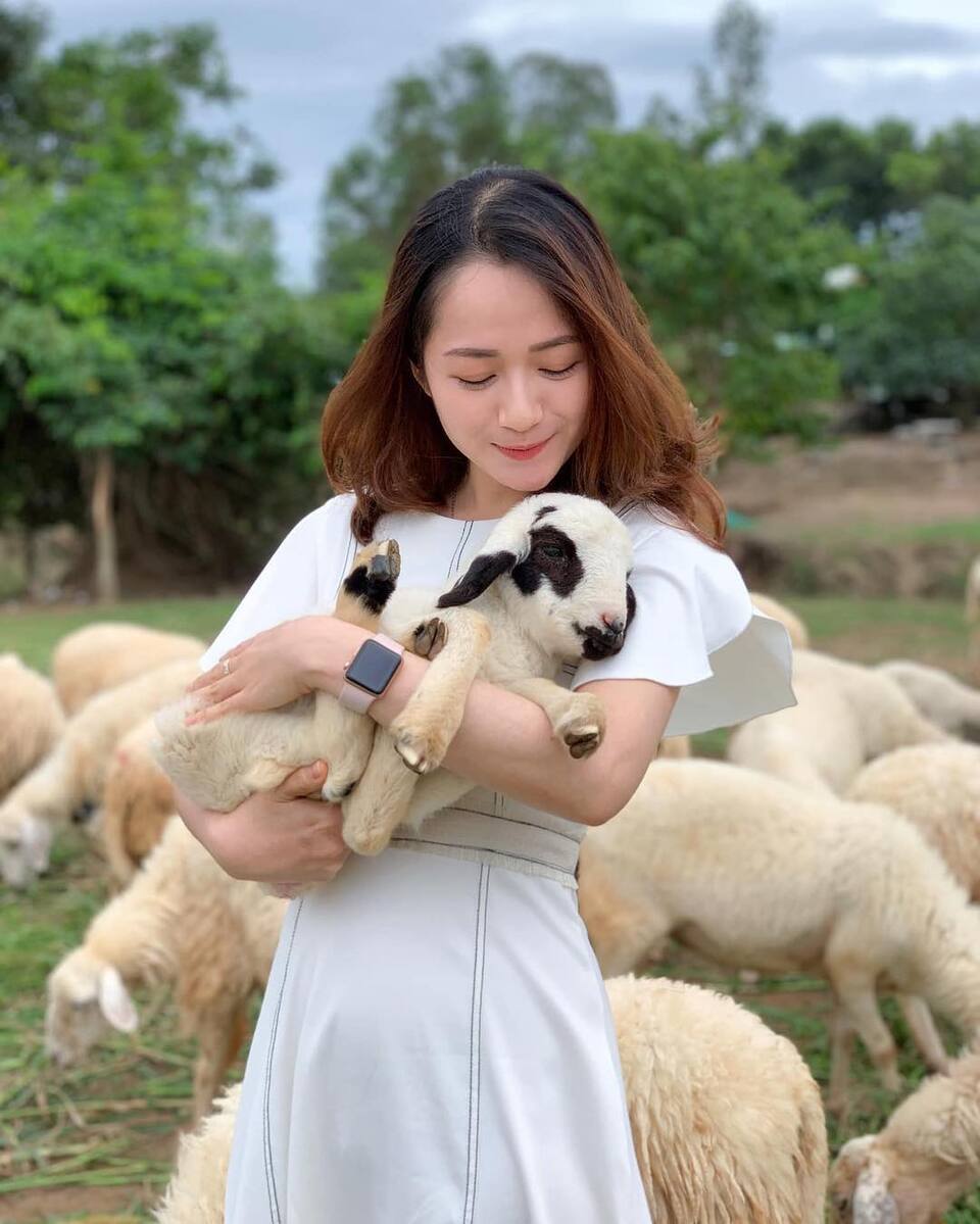 Đồi Cừu Vũng Tàu: Hướng dẫn đường đi, giá vé & kinh nghiệm tham quan