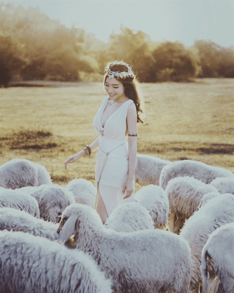 Đồi Cừu Vũng Tàu: Hướng dẫn đường đi, giá vé & kinh nghiệm tham quan