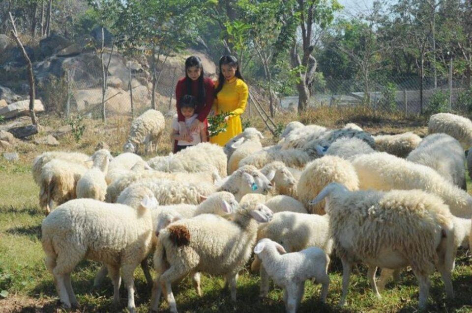 Hồ Mây Vũng Tàu