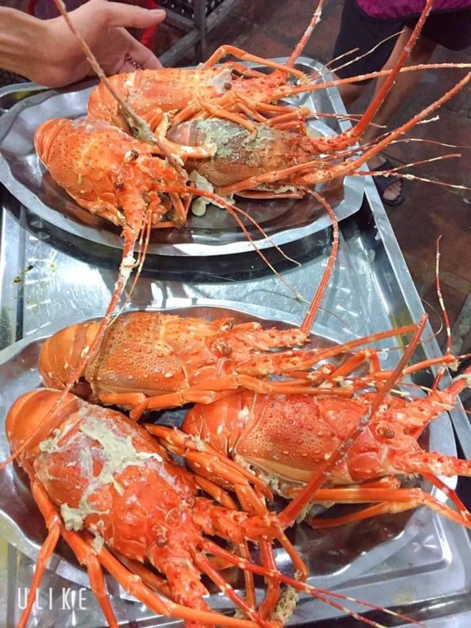 biển sầm sơn