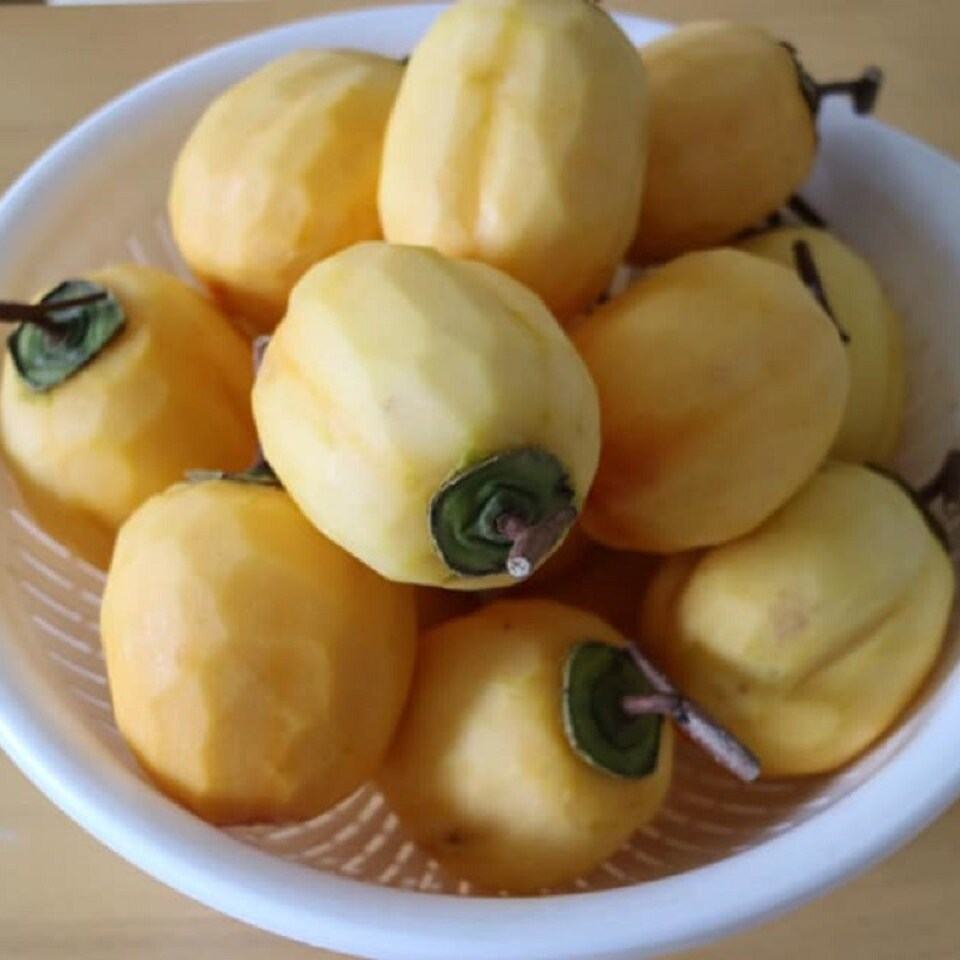 hồng treo gió đà lạt