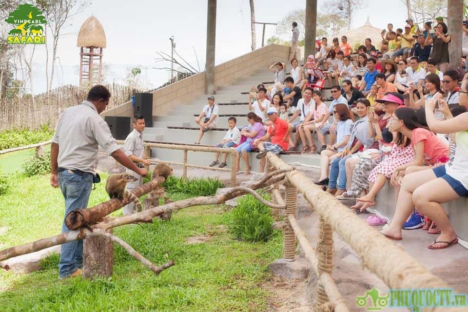 Review Safari Phú Quốc: Khu vườn thú muôn màu tại đảo Ngọc