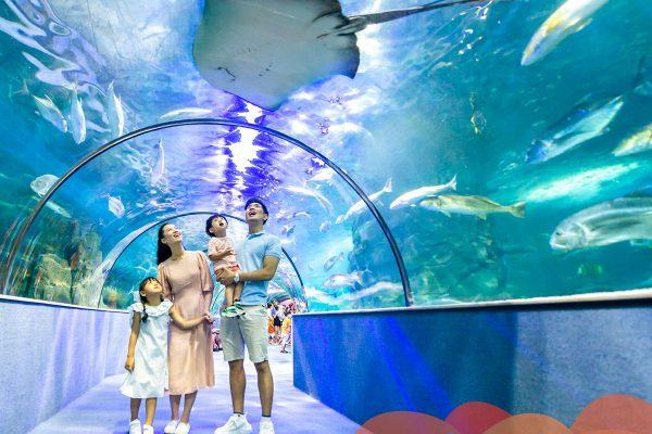 Vinpearl Land Phú Quốc: Thiên đường vui chơi hiện đại, đẳng cấp