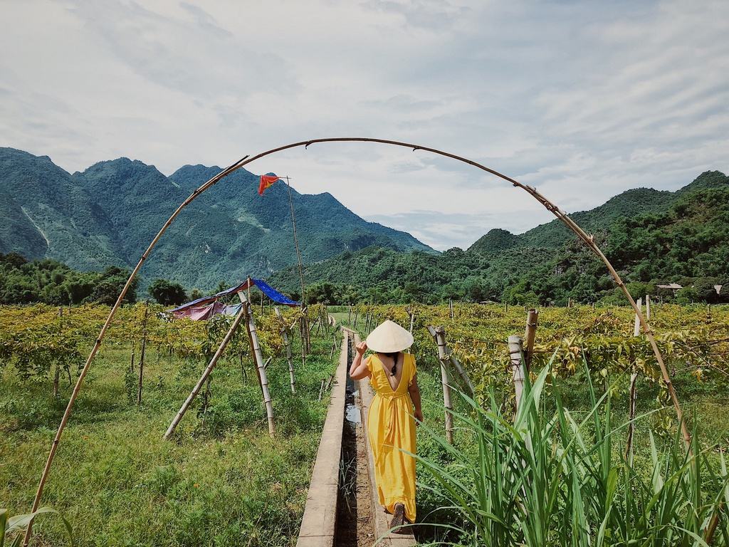 Ba Khan Village Resort: Bảng giá phòng và kinh nghiệm đặt phòng tốt nhất