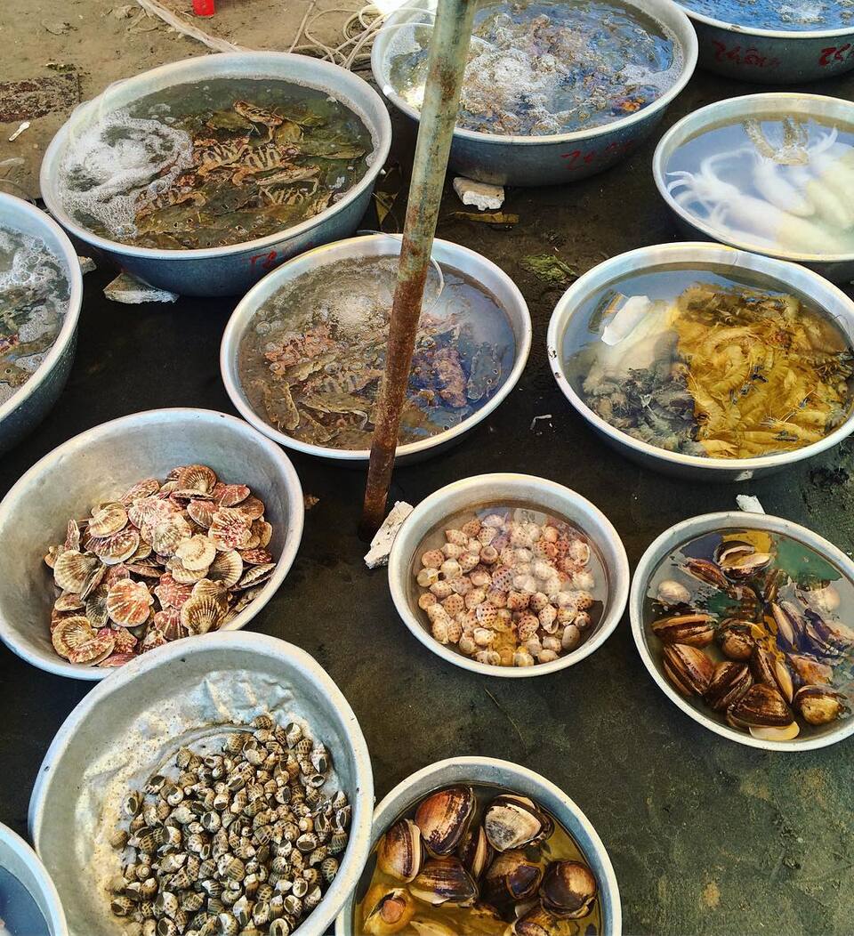 du lịch mũi né