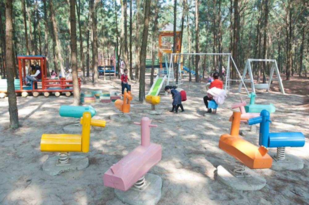 Rose Villas Ba Vì: ngôi làng Bắc Mỹ lãng mạn gần vườn quốc gia