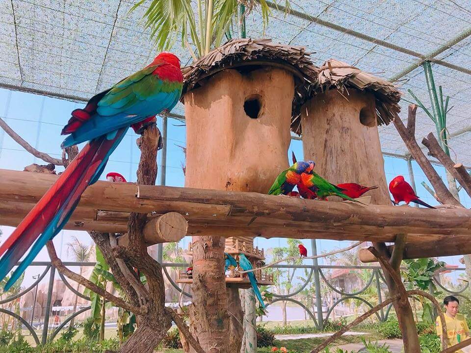 Review Vinpearl Nam Hội An: Quần thể nghỉ dưỡng gần biển và phố cổ