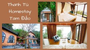 Top 30 Homestay Tam Đảo Vĩnh Phúc giá rẻ view đẹp để ngắm mây núi