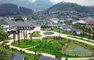 Thảo viên resort