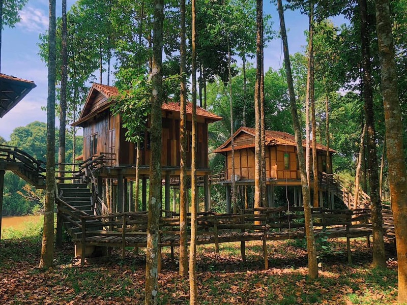 Green Bamboo Lodge Resort - Giấc mộng yên bình giữa rừng sâu