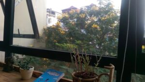 Gap Yolo Hostel - Trải nghiệm homestay mới mẻ, tại sao không?