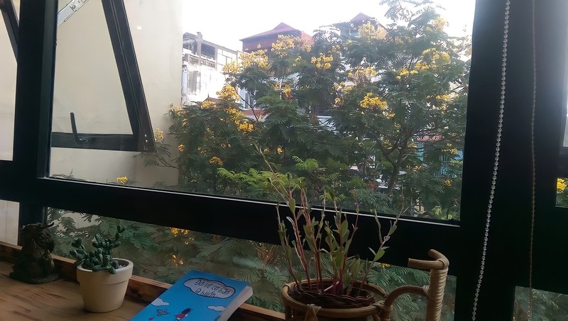 Gap Yolo Hostel - Trải nghiệm homestay mới mẻ, tại sao không?