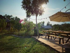 Mộc Homestay Ba Vì - Nơi lưu giữ "mùa hè tươi đẹp năm ấy"