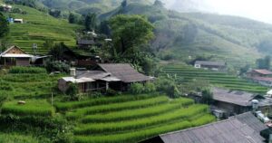 Phơri's Homestay Sapa