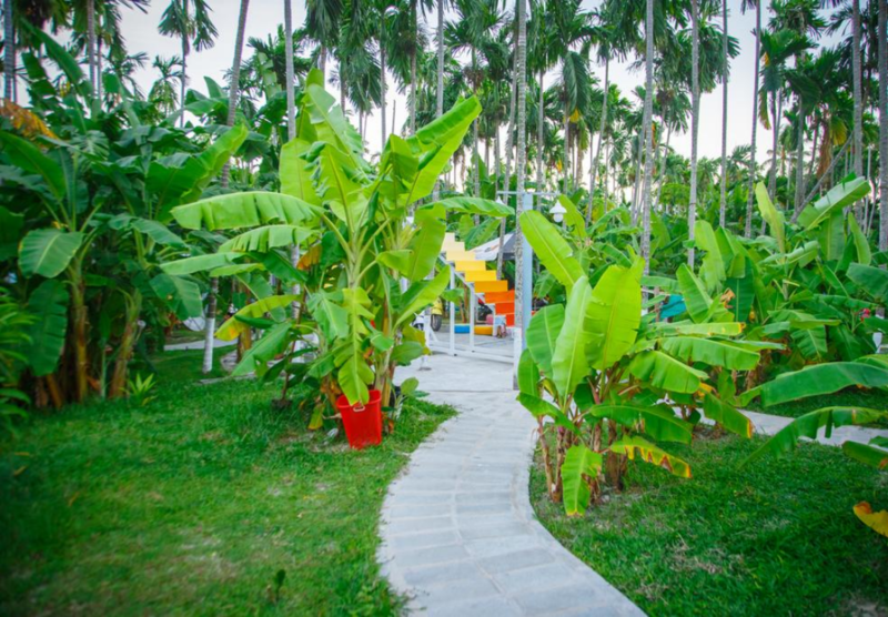 Thiên đường biển đảo Phan Thiết cùng Suri Mũi Né Homestay