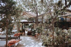 the shelter homestay