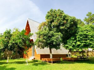 Tropical House Sóc Sơn - Nơi lưu trú miền nhiệt đới lý tưởng, thơ mộng