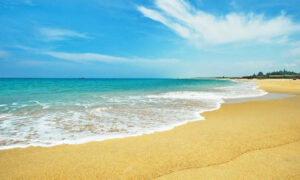 Trọn bộ kinh nghiệm du lịch chi tiết Bãi Dài Phú Quốc