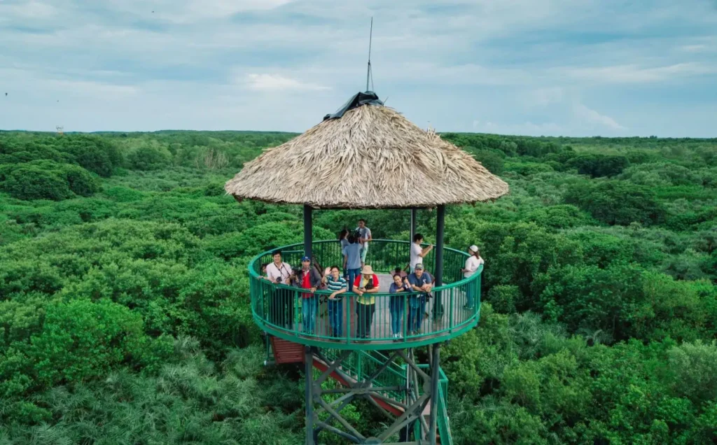 Tất tần tật kinh nghiệm du lịch Cần Giờ hot nhất 2022