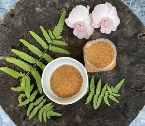 Review muối Tây Ninh - đặc sản hấp dẫn của miền Tây