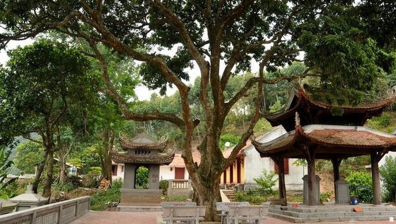 Suối Tiên Vũng Tàu - điểm đến nổi tiếng thu hút khách du lịch