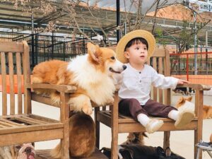 cafe chó đà lạt