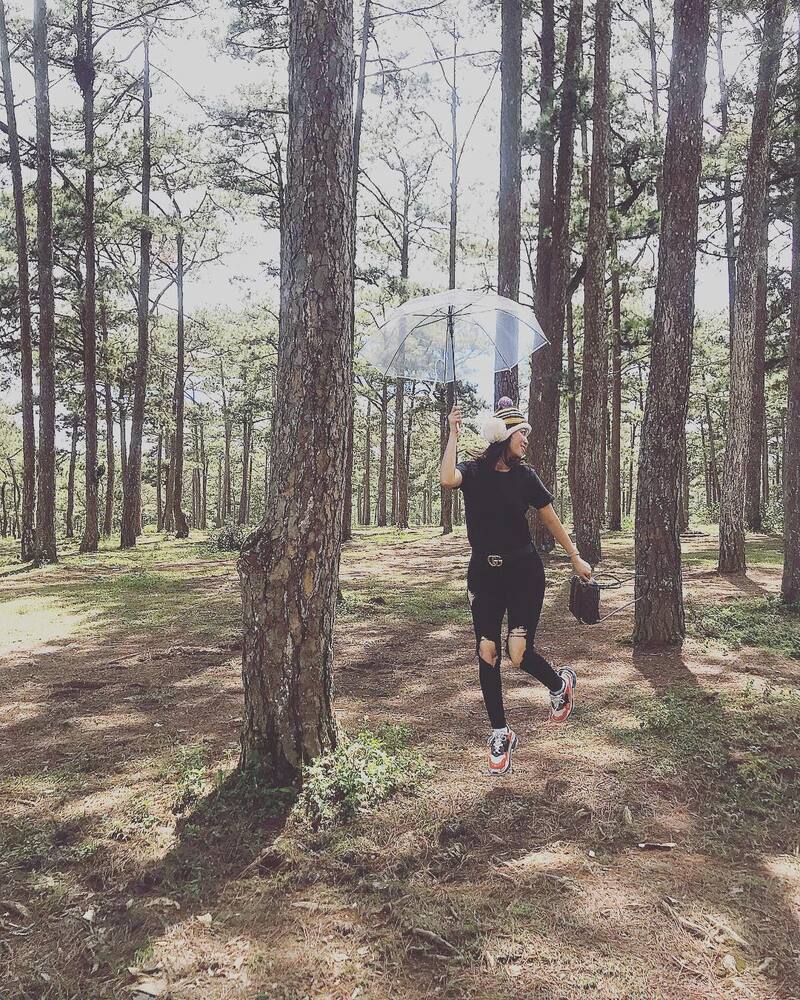 Đồi Thông Hai Mộ - Địa điểm du lịch “ma mị” tại Đà Lạt