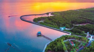 Kinh nghiệm Du lịch Cà Mau chi tiết từ A - Z hot nhất 2022