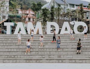 Kinh nghiệm du lịch Tam Đảo 2022 chi tiết nhất