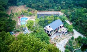 Review Rừng Thông Xanh Sóc Sơn - Yên bình trong rừng thông thơ mộng