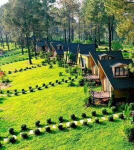 Top 15 resort Mộc Châu view đẹp giá rẻ khiến du khách không thể bỏ lỡ