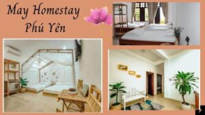 Top 20 Homestay Phú Yên Tuy Hòa view biển đẹp xịn sò ở trung tâm