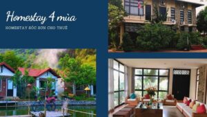 Top 20 Homestay Sóc Sơn giá rẻ đẹp có hồ bơi cho thuê nguyên căn
