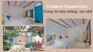 Top 40 Homestay Vũng Tàu giá rẻ view biển đẹp nguyên căn theo nhóm