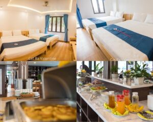 Đâu là top 4 khách sạn Cát Bà giá rẻ gần biển đáng lưu trú nhất?