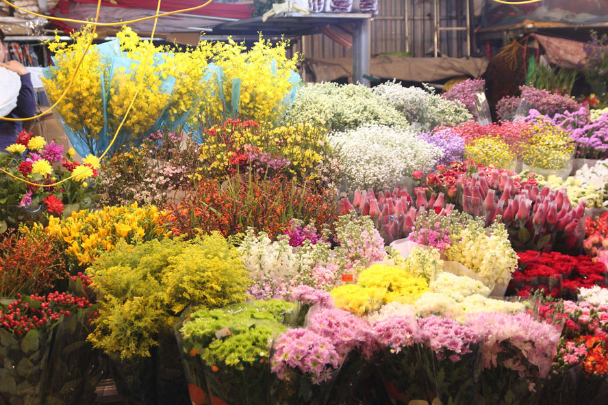 Chợ hoa Quảng An - Thiên đường hoa tươi giữa lòng Hà Nội