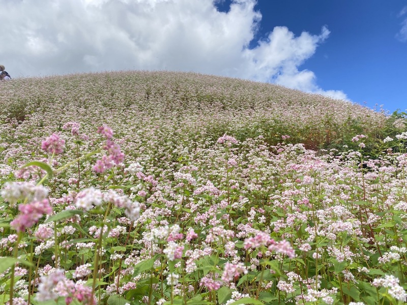 Top 15 địa điểm du lịch Lạng Sơn đẹp và nổi tiếng thu hút khách