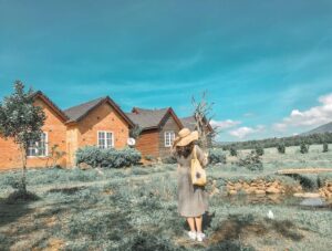 Review Trang trại Đà Lạt Farm Milk - Check-in nông trại bò sữa đầy thú vị