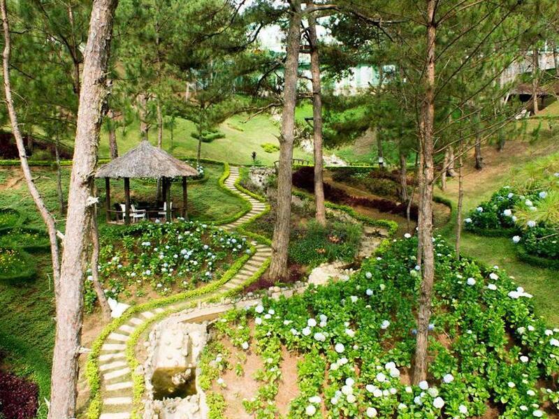 Khu du lịch Đồi Mộng Mơ Đà Lạt - nét đẹp hữu tình đầy sức hút