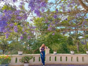 Top 10 địa chỉ check-in hoa phượng tím Đà Lạt cực hot