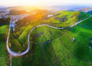 Bản đồ du lịch Đà Lạt chi tiết nhất dành cho du khách