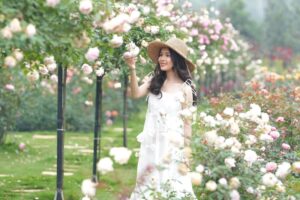 Top 4 vườn hoa hồng Đà Lạt đẹp tha hồ check in