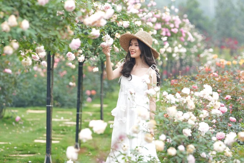 Top 4 vườn hoa hồng Đà Lạt đẹp tha hồ check in