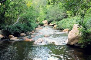 Khám phá suối Đá Giăng - Khu sinh thái mới nổi ở Nha Trang