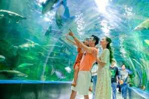 Viện Hải Dương Học - Thế giới đại dương của các loài sinh vật biển 